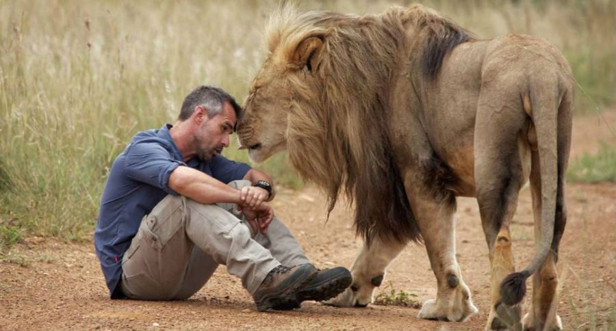 lion whisperer