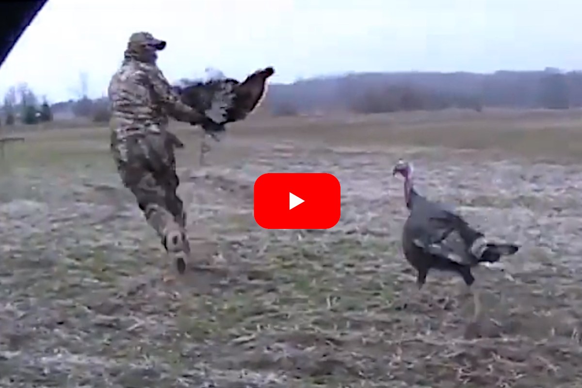 Turkeys Intimidating Overly-Aggressive Turkey Beats Up Decoy and Then Chases Hunter Away ...