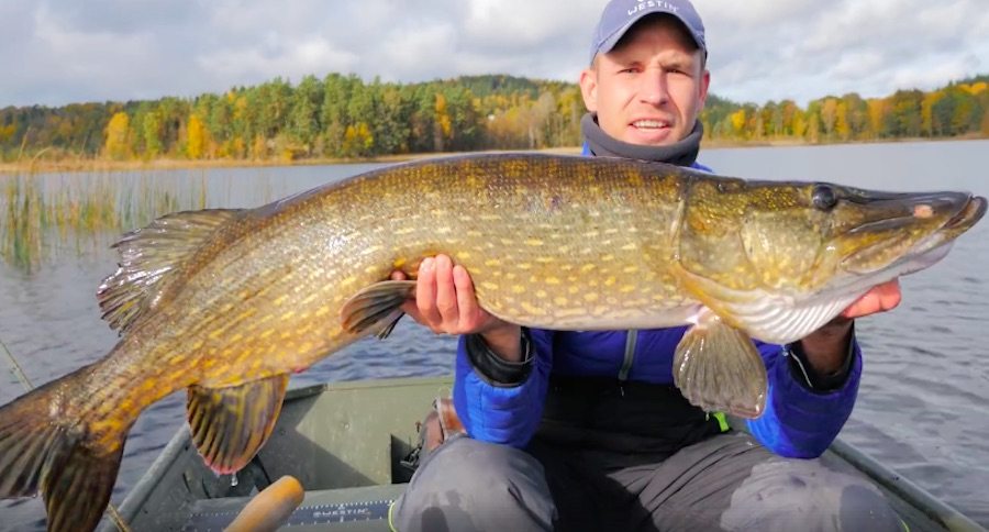 pike fishing