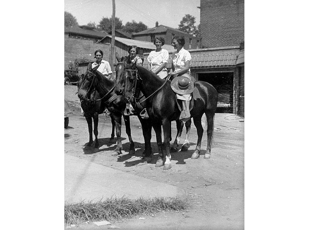 horse-riding librarians