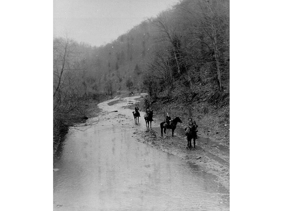 horse-riding librarians