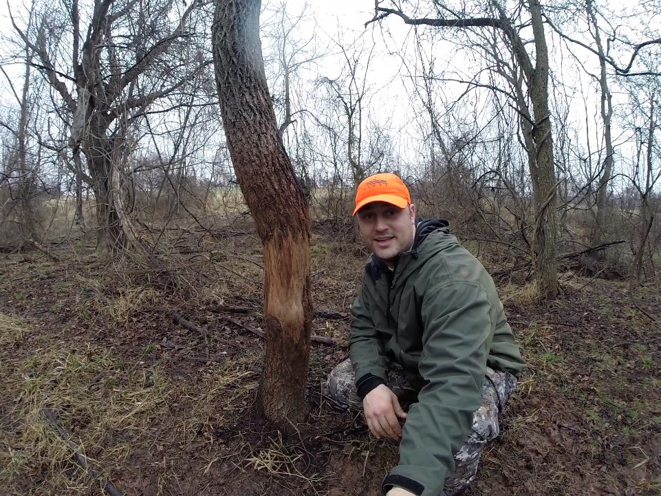 shed antler hunting