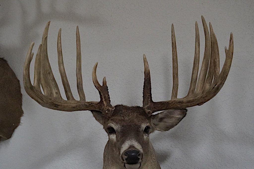 The Biggest Typical Whitetail Bucks Ever Entered into the Record Books