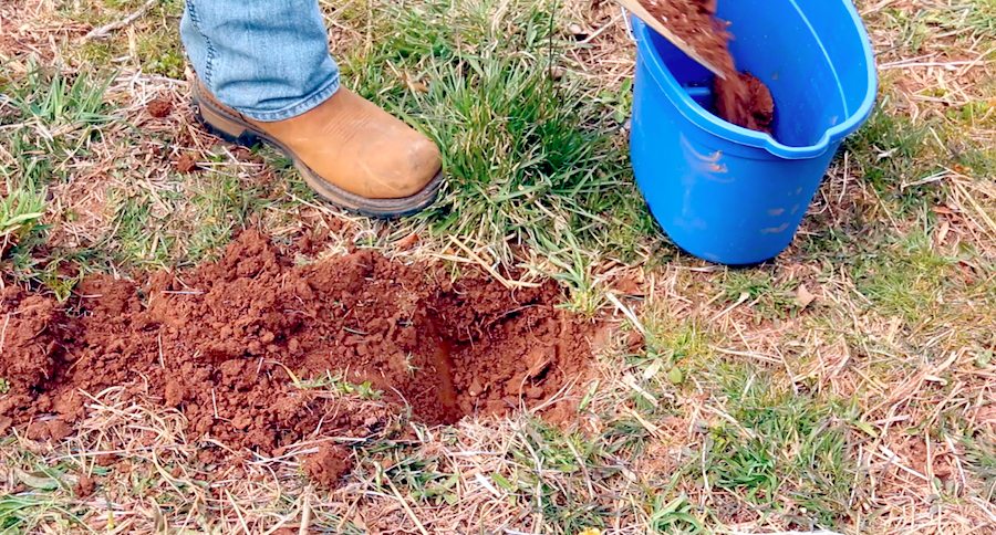 soil sample food plot