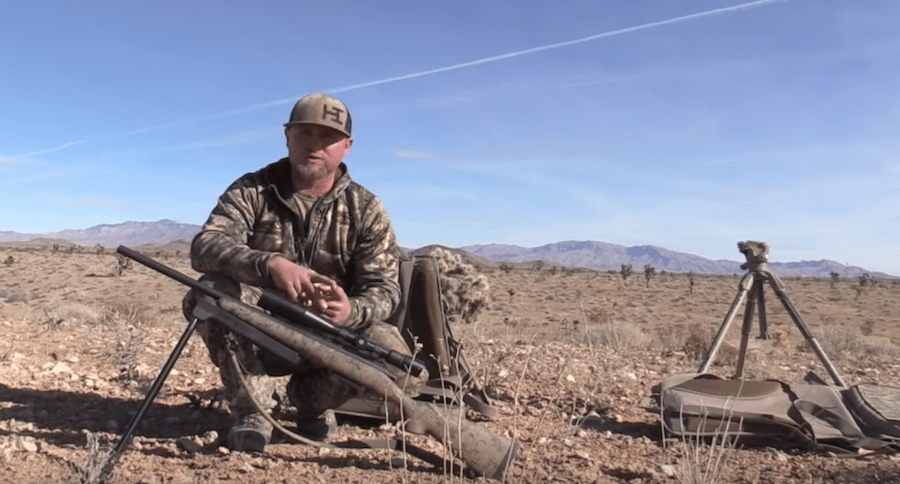 best gun for coyotes