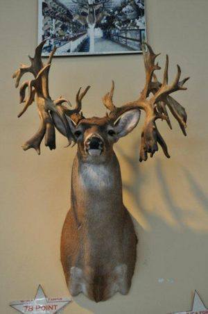 drop tines