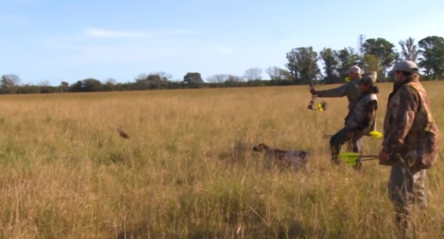bow hunting fast game birds