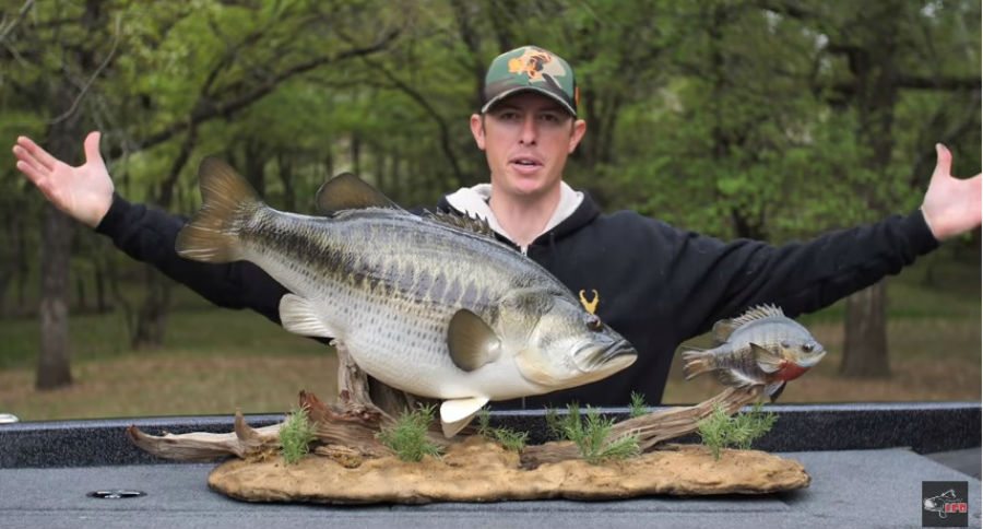 bass mount