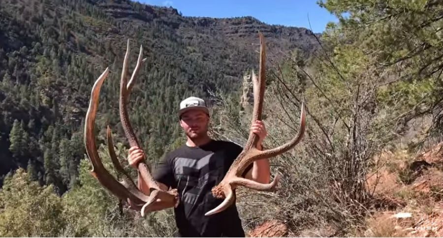 elk sheds