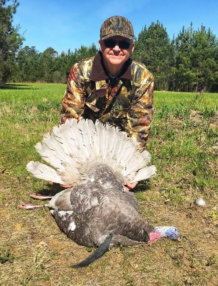 gray turkey