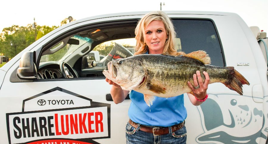 bass