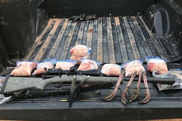 Fish Poachers Busted With Illegal Homemade Electrofishing Equipment in Oklahoma Wide Open Spaces