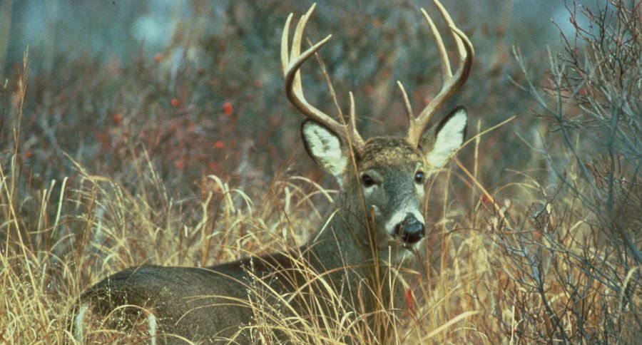 Pennsylvania