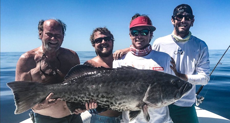gag grouper