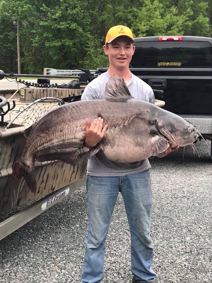 Virginia Angler Catches and Releases 102-Pound Blue Catfish - Wide Open ...