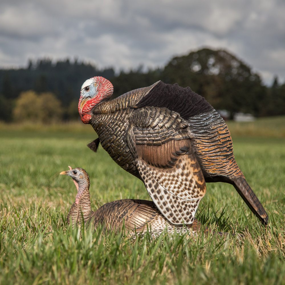 Dave Smith Decoys