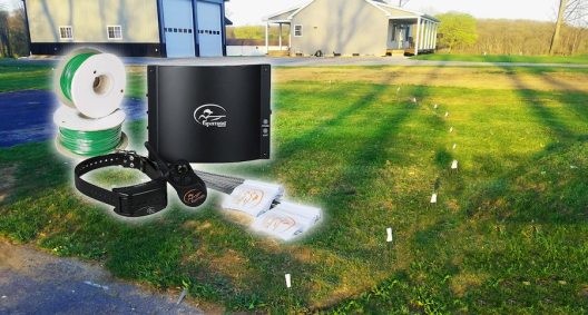 SportDOG Brand® Contain + Train In-Ground Fence Review - Wide Open Spaces