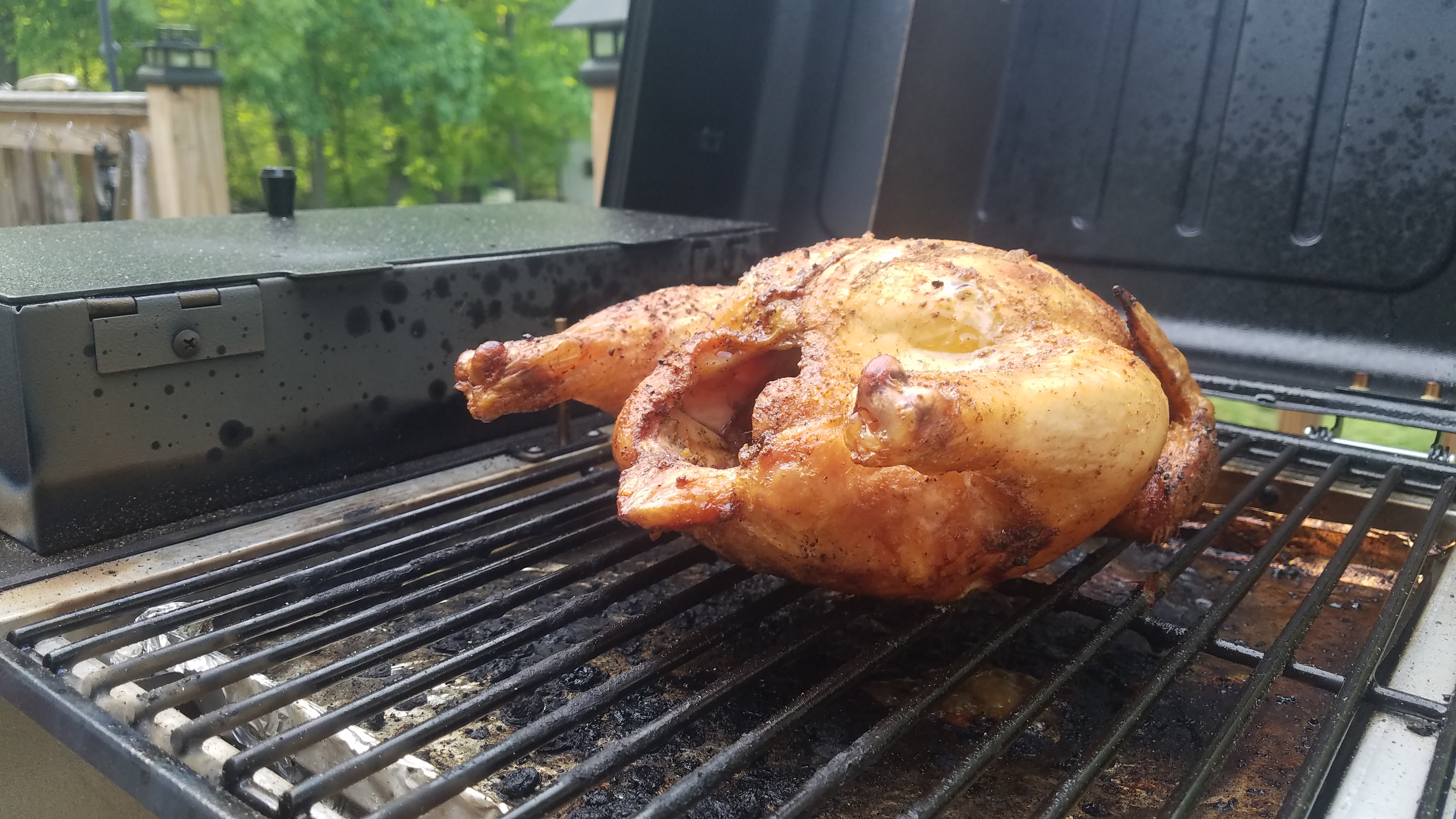 Traeger Ranger