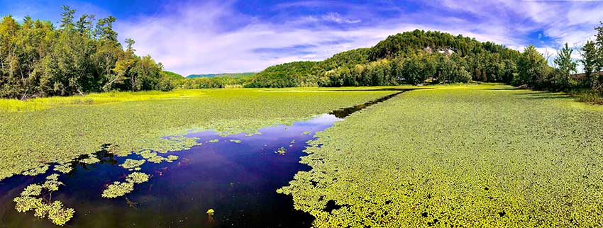 Lake Champlain in New York and Vermont, a bass fishing hot spot