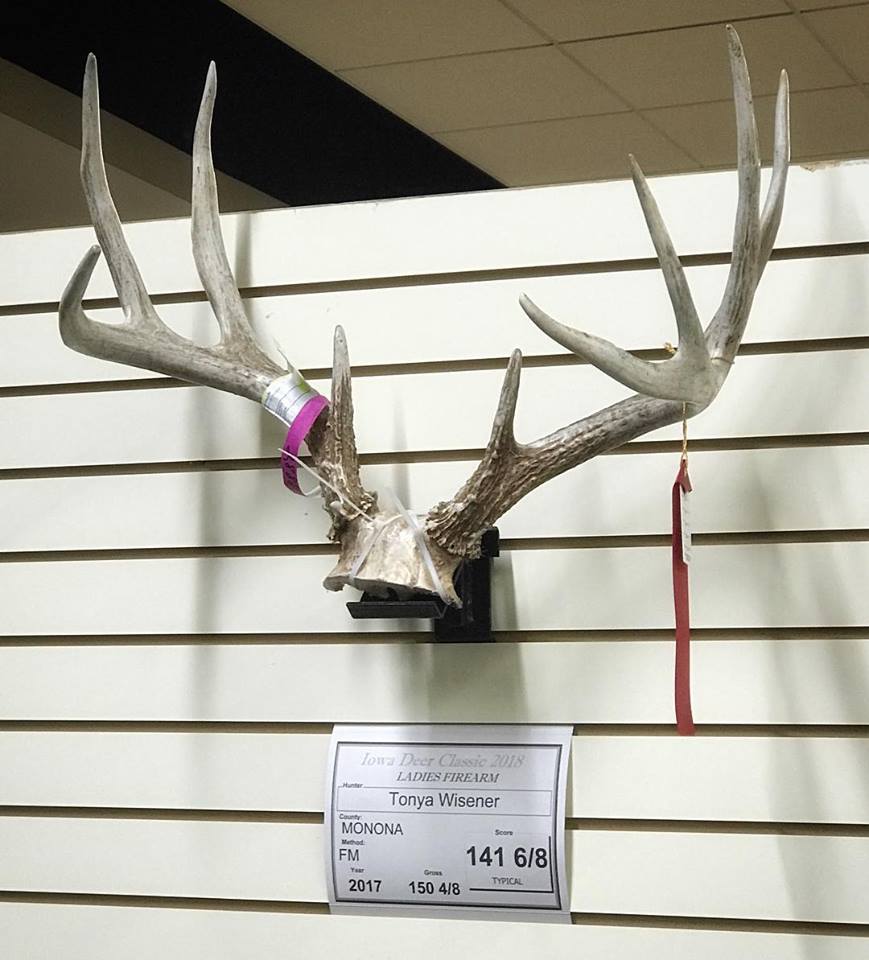 trophy buck