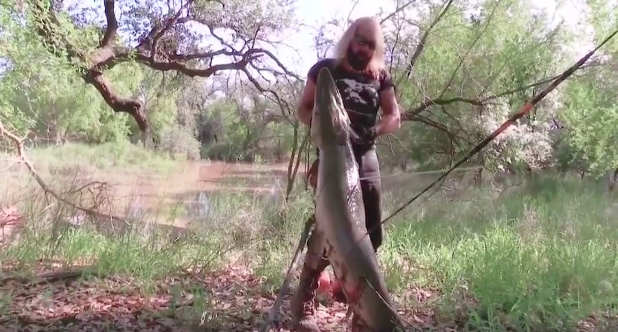 spearfishing alligator gar