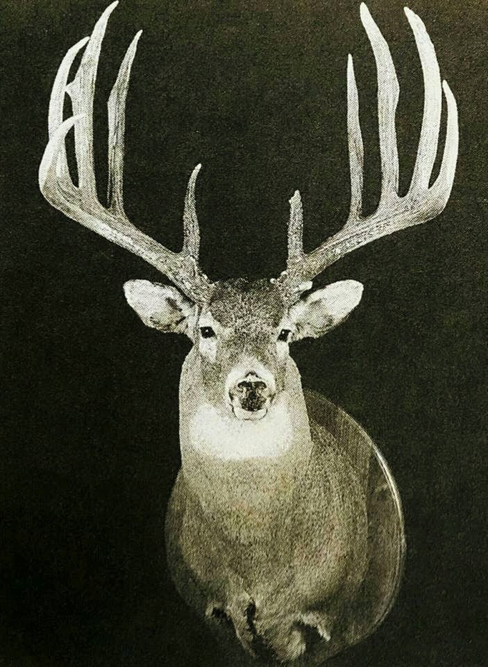 World Record Typical Whitetail