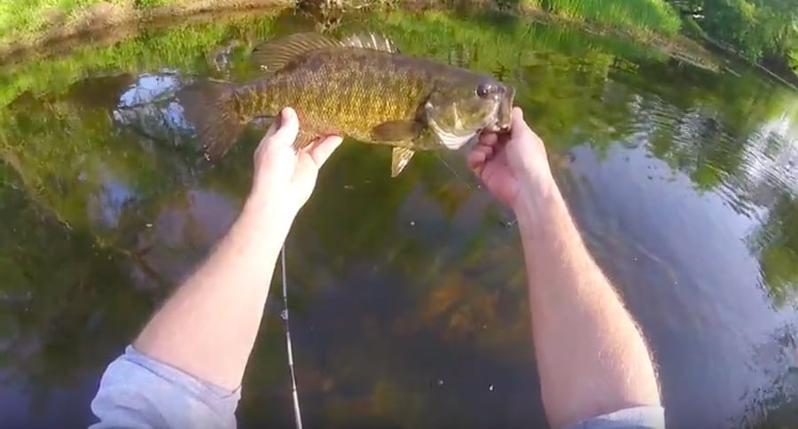stream fishing