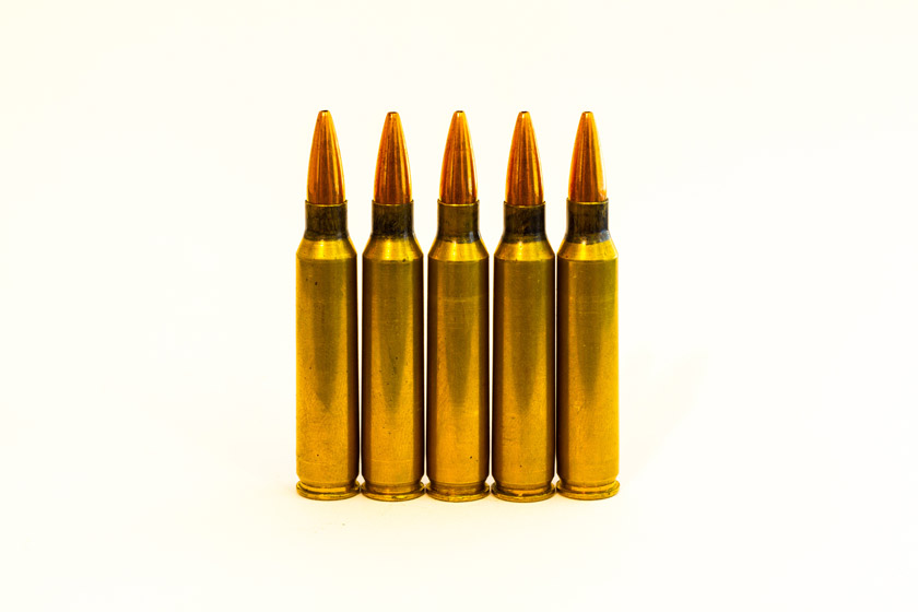 best caliber for youth hunters