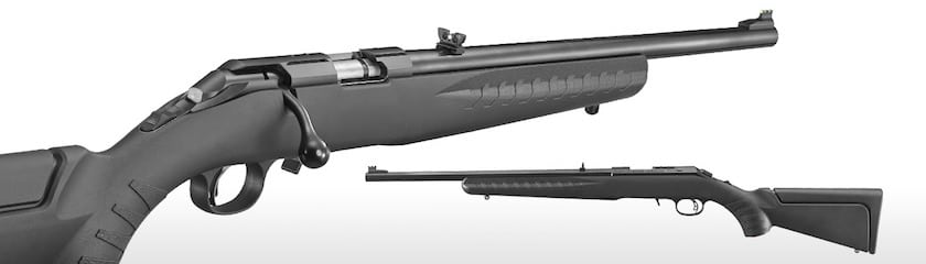 10 Varmint Rifles for Small to Medium Predator Animals