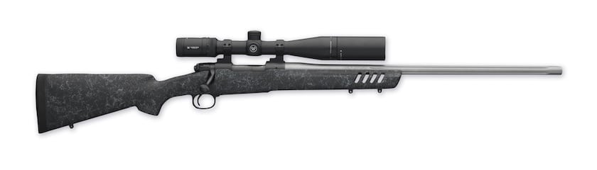 10 Varmint Rifles for Small to Medium Predator Animals