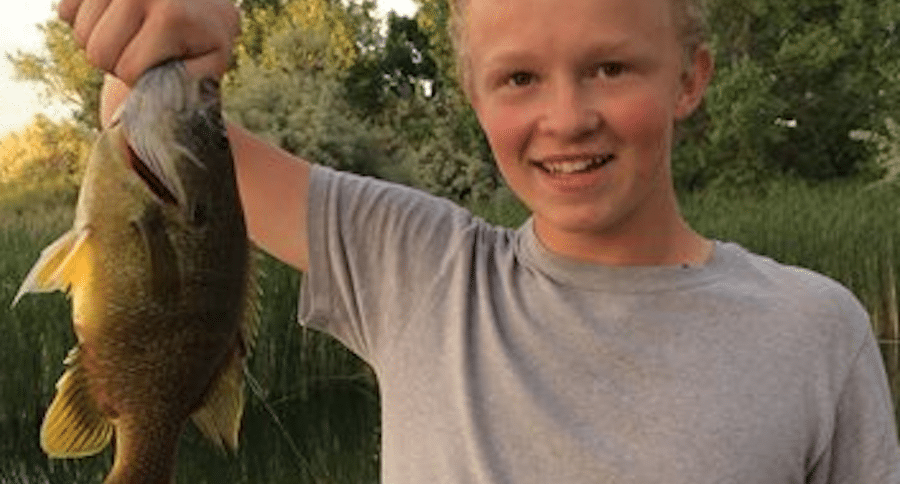 Green Sunfish Record