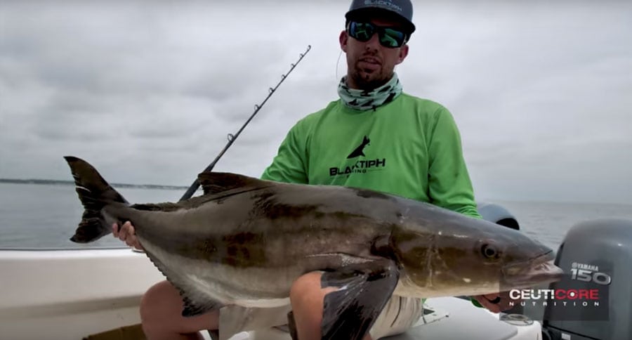 BlacktipH Lands a Giant Cobia in Chesapeake Bay