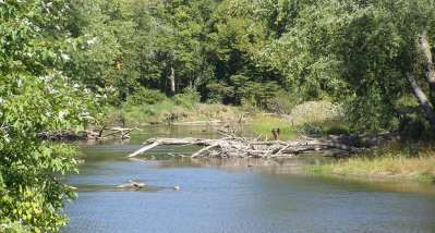 5 Rivers to Fish in Indiana Before Summer Ends