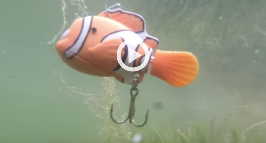 nemo fishing lure