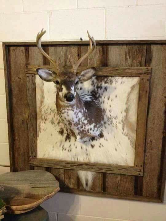 Whitetail Mounts