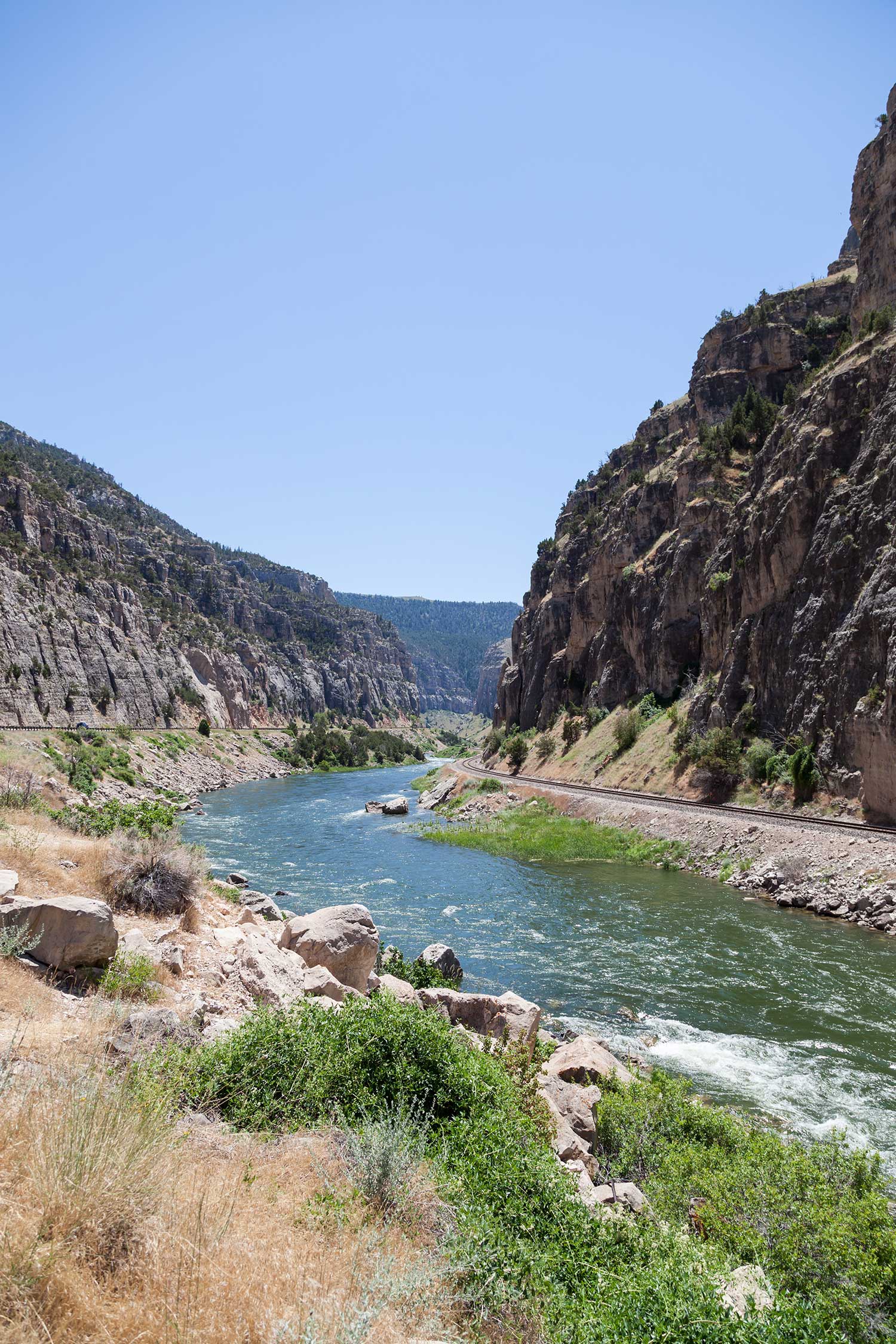 best trout streams