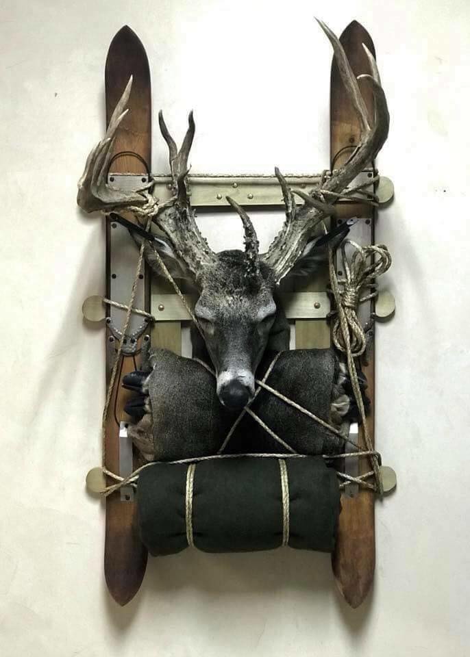 Whitetail Mounts