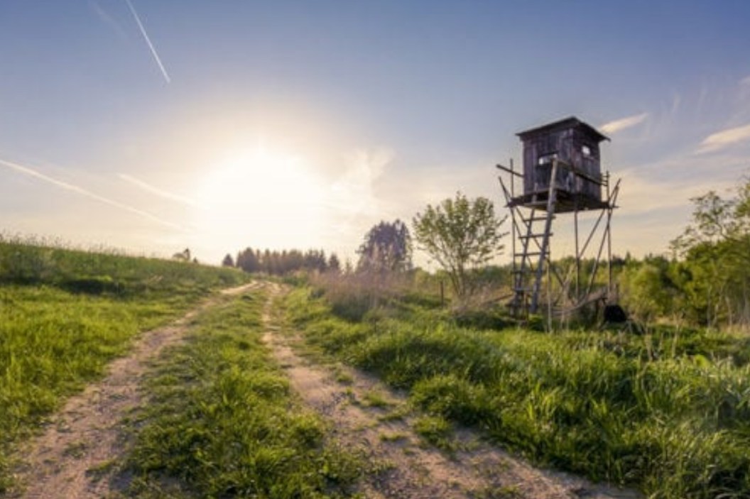 11 Weird and Wacky Hunting Laws That Were Actually Passed Wide Open