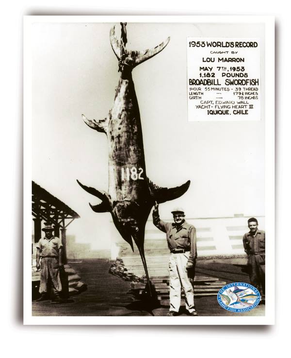 Saltwater Fishing Records