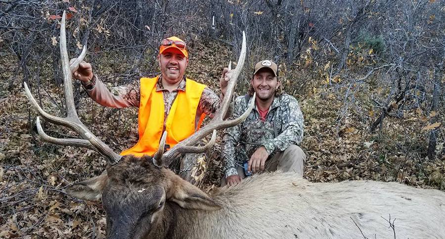 Elk Hunting in Colorado