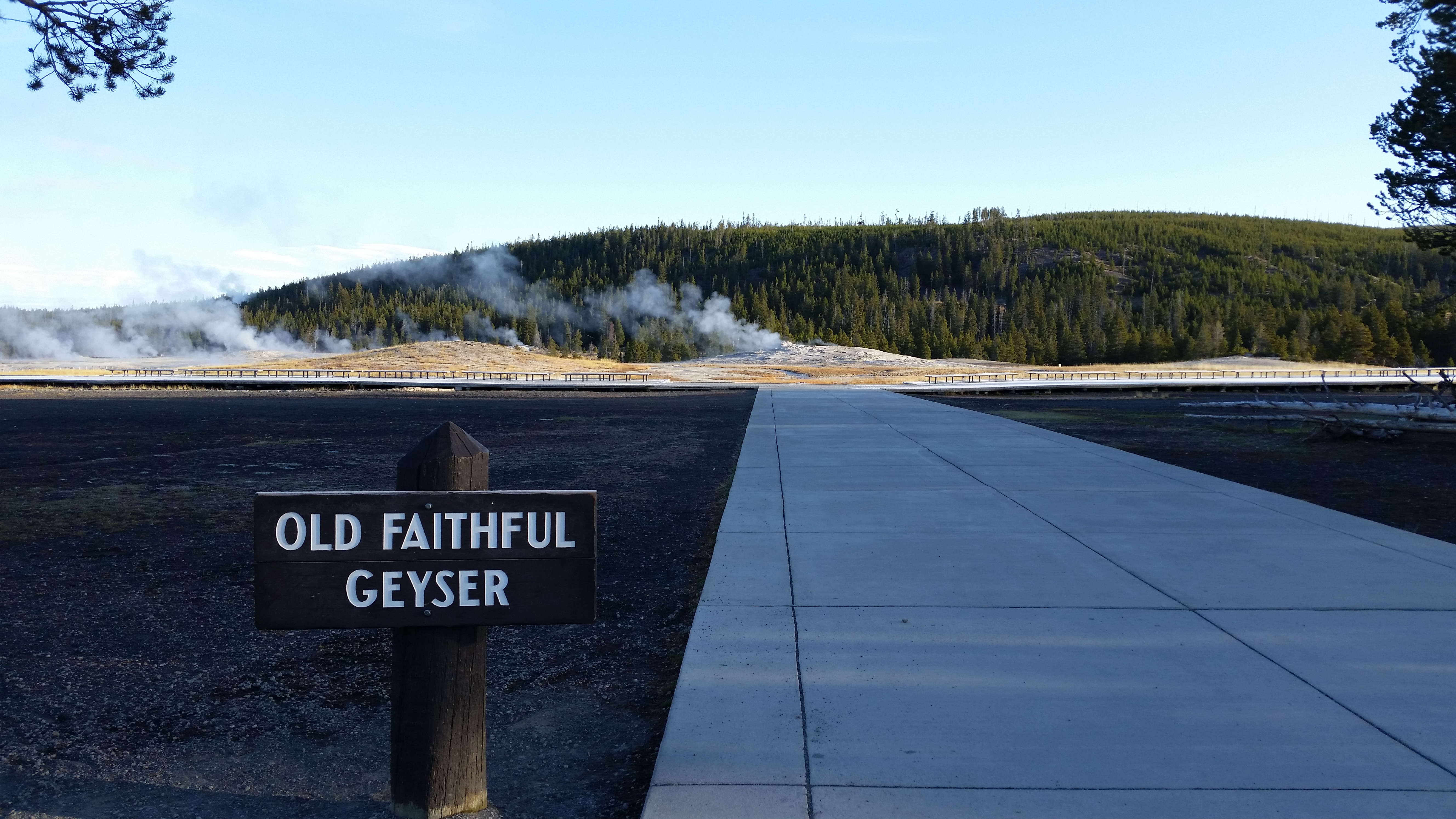 Yellowstone in Fall and Winter