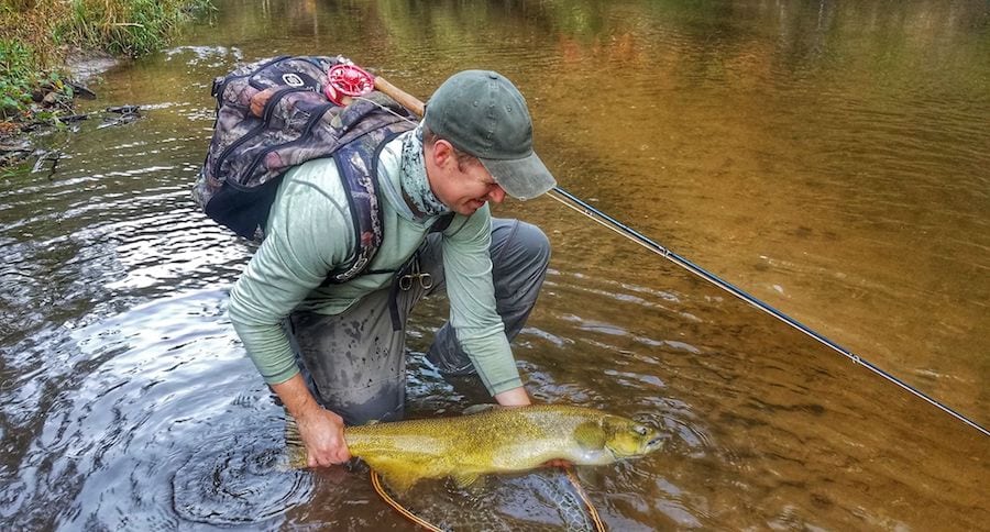 Michigan Fishing Reports