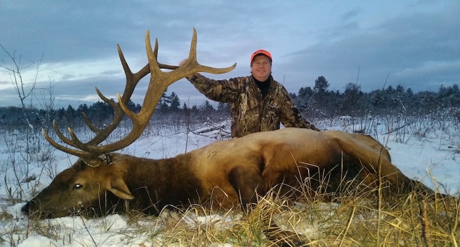 Elk Hunting