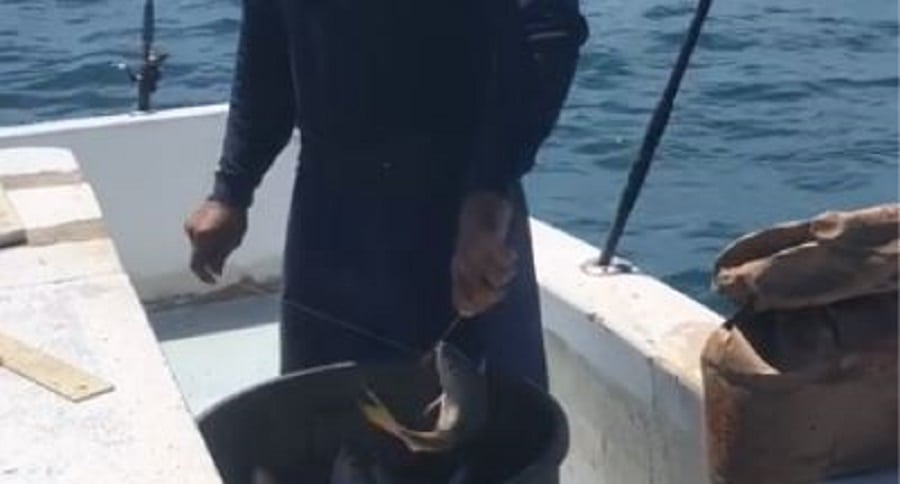 Easy Fishing