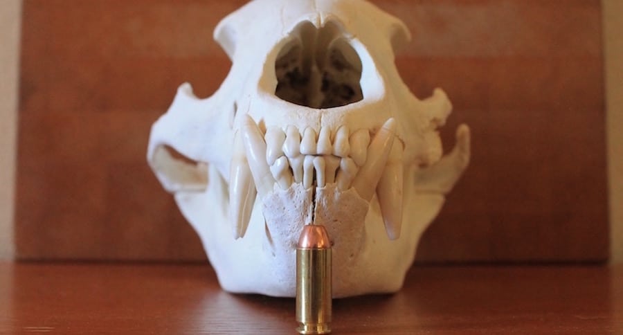 Here's The Best 10mm Auto Ammo For Self-Defense