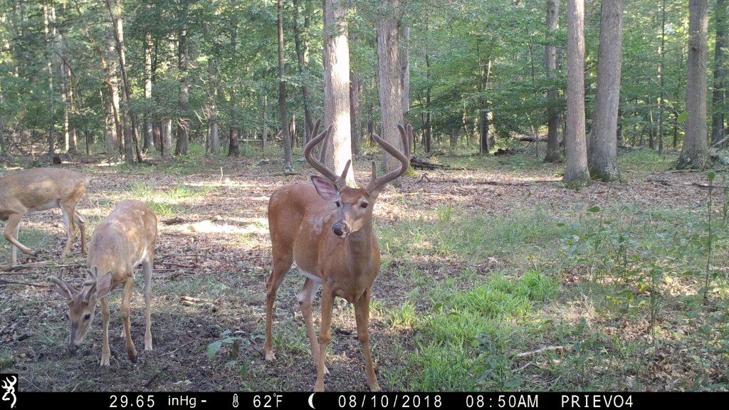 Deer Management Tools