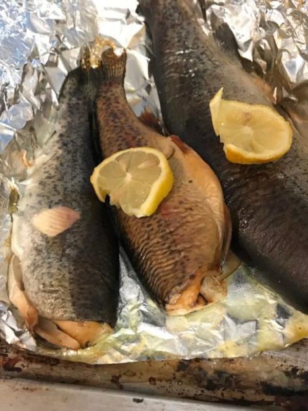 Appalachian Grilled Trout Recipe