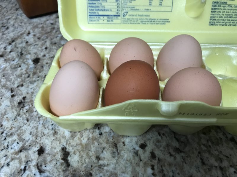 Free range eggs