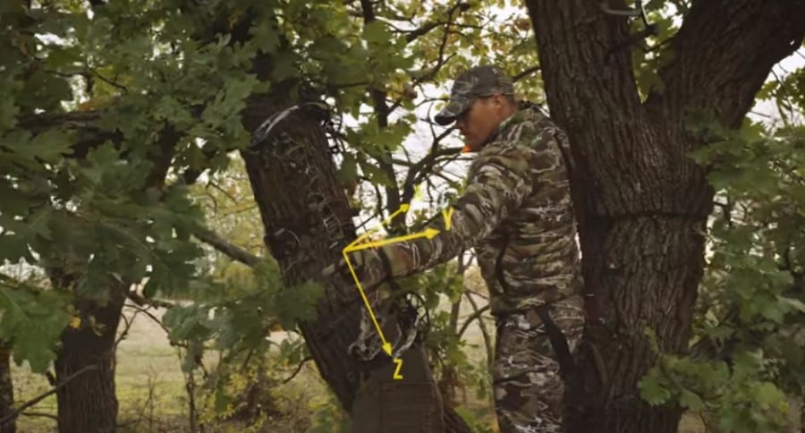 Mathews Triax