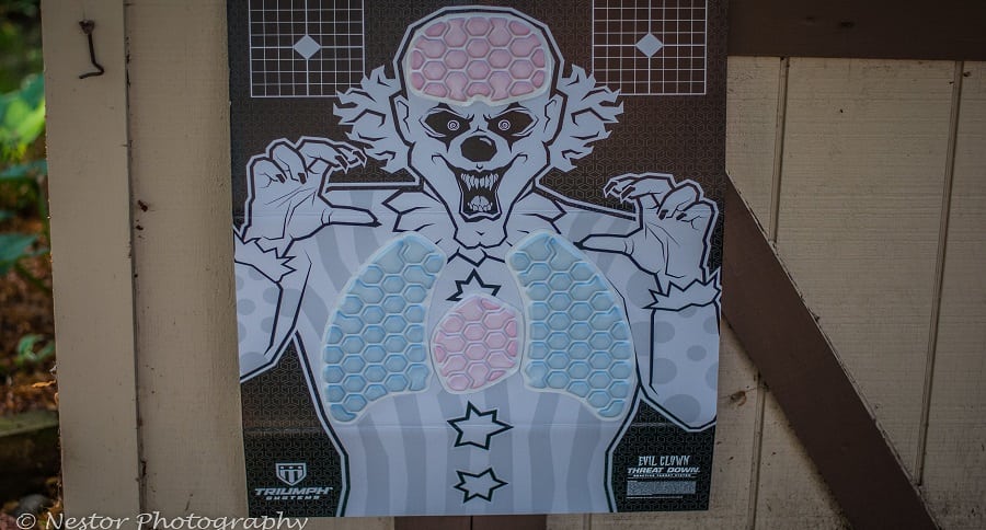 Triumph Systems Reactive Targets